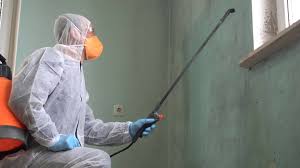 Best Mold Odor Removal Services  in USA